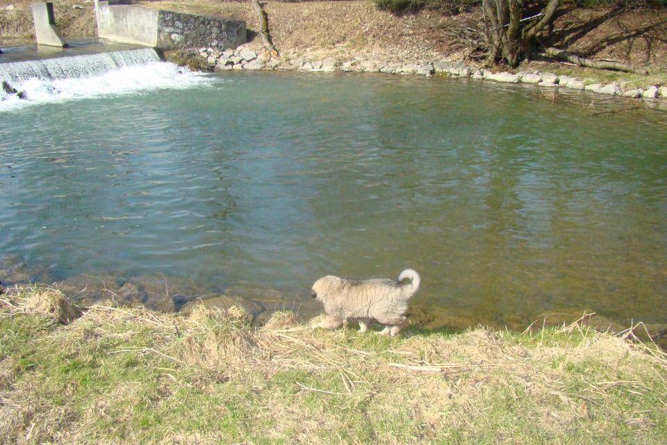 Histra raziskuje svet - foto povečava