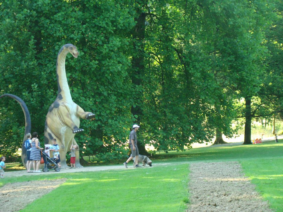 Med dinozavri - foto povečava