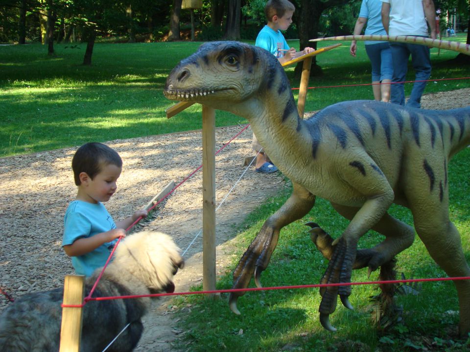 Med dinozavri - foto povečava