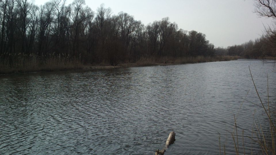 Fishing - foto povečava