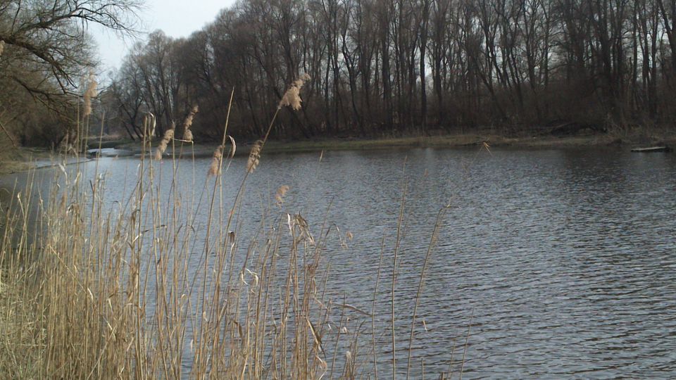 Fishing - foto povečava