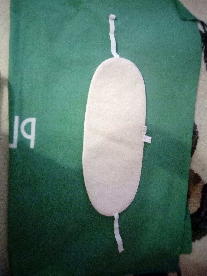 Ledvicni pas ovcka - foto povečava