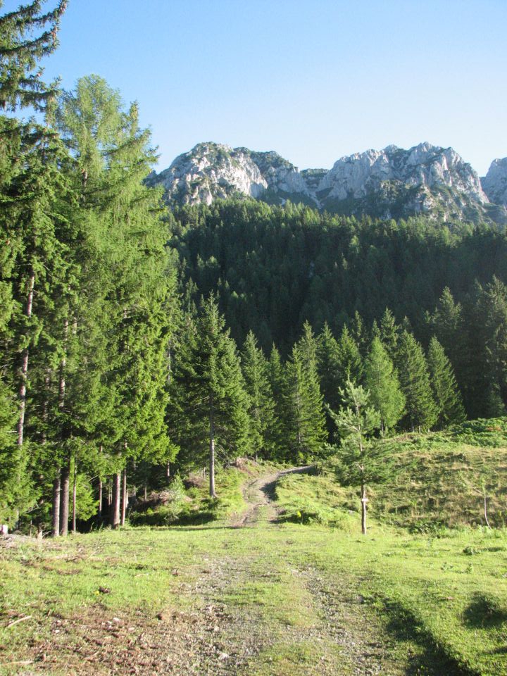 Kordeževa glava - Peca - 8.8.2010 - foto povečava