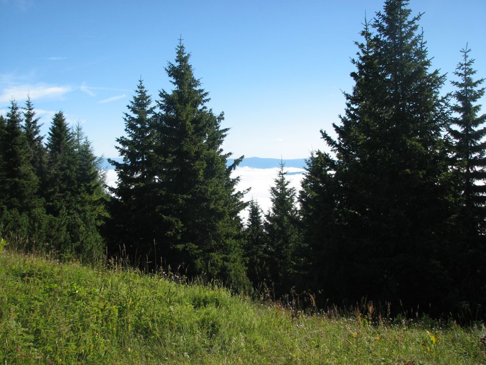 Kordeževa glava - Peca - 8.8.2010 - foto povečava