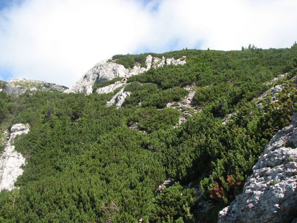 Kordeževa glava - Peca - 8.8.2010 - foto povečava