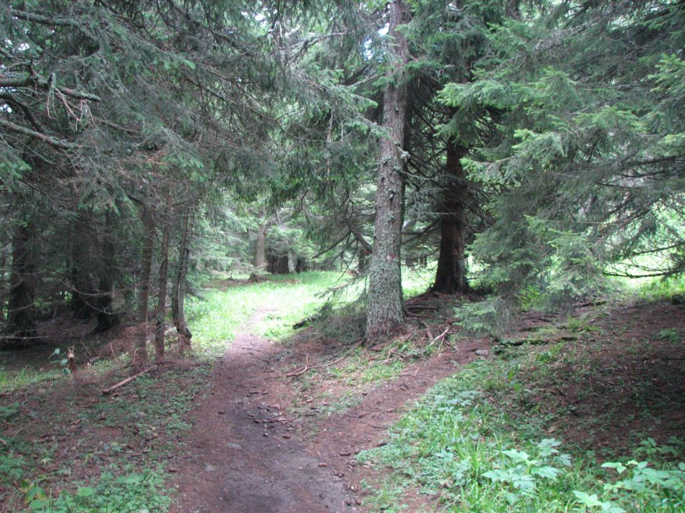 Kordeževa glava - Peca - 8.8.2010 - foto povečava