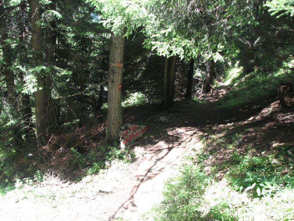 Kordeževa glava - Peca - 8.8.2010 - foto povečava