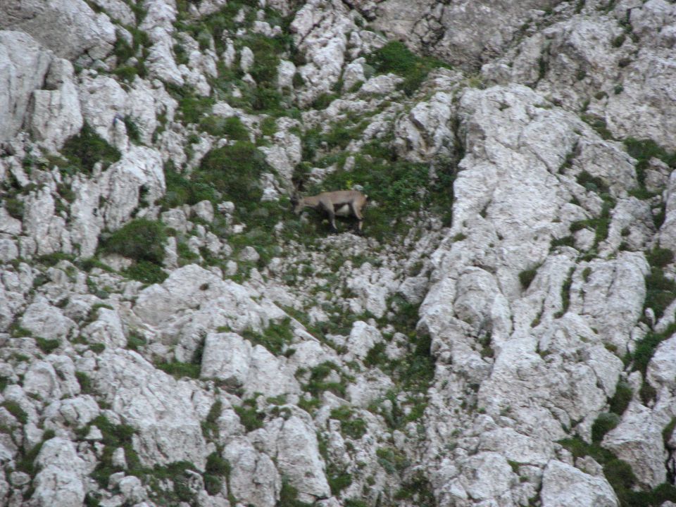 Ta visoka Rosajanska pot 2.del - foto povečava