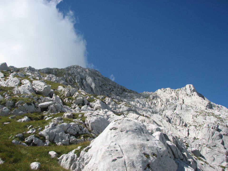 Ta visoka Rosajanska pot 2.del - foto povečava