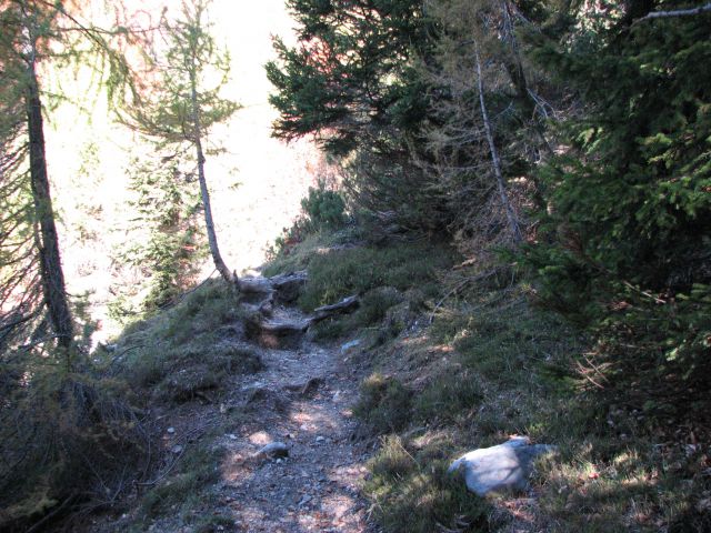 Pot od planine proti Poldašnji špici.