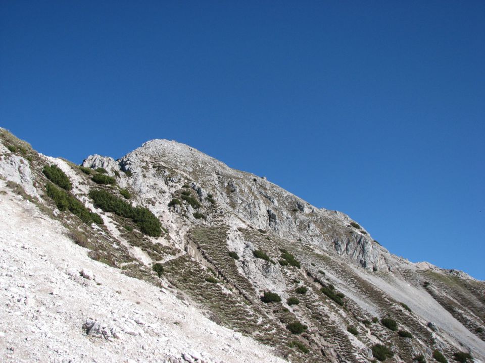 Še en pogled proti vrhu.