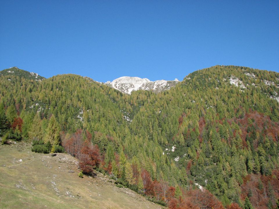 Poldašnja špica - Jôf di Miezegnot 10.10.2010 - foto povečava