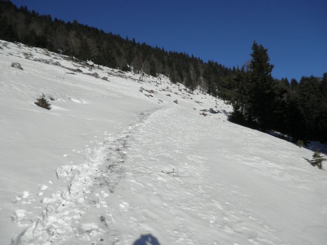 Od Leške planine proti vrhu Dobrče.