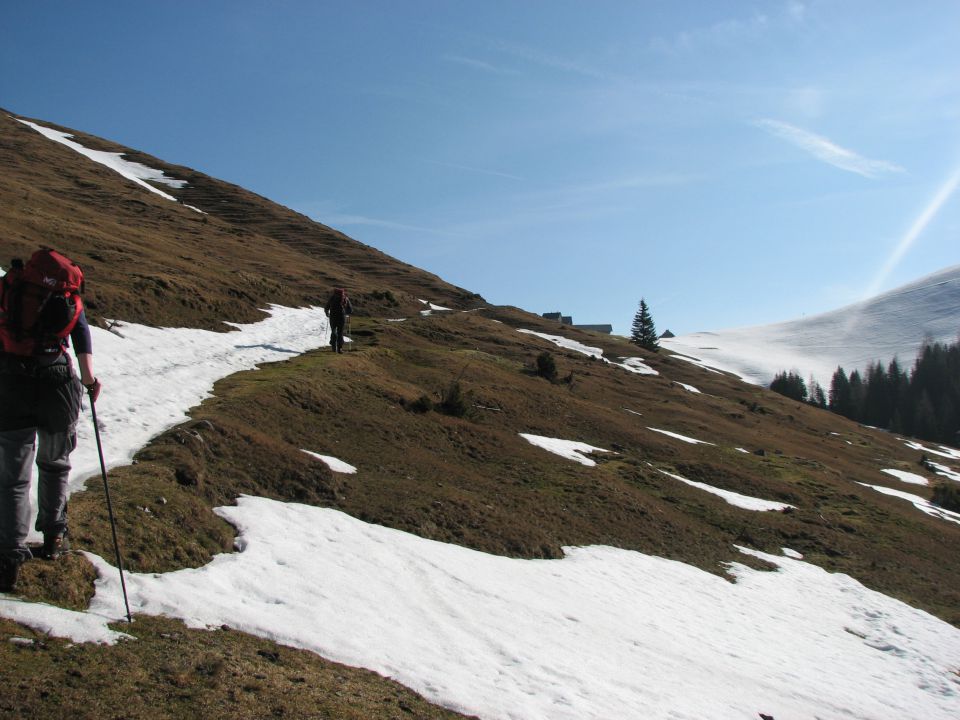 Ojstrnik 02-04-2011 - foto povečava