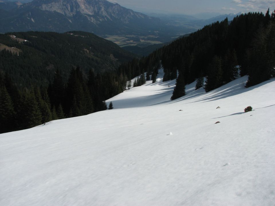 Ojstrnik 02-04-2011 - foto povečava