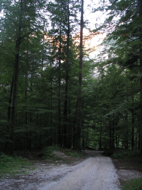 Začetek poti pri odcepu gozdne ceste za Jermanco.