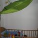 Baldahin Ikea-3 Eur-PRODANO