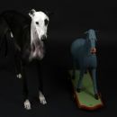 Galgo Zap (ex Zapatilla)