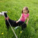 Galgo Zap (ex Zapatilla)
