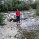 Galgo Ricky