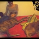 Galgo Darwin (ex Hinojo)