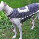 Galga Devani
