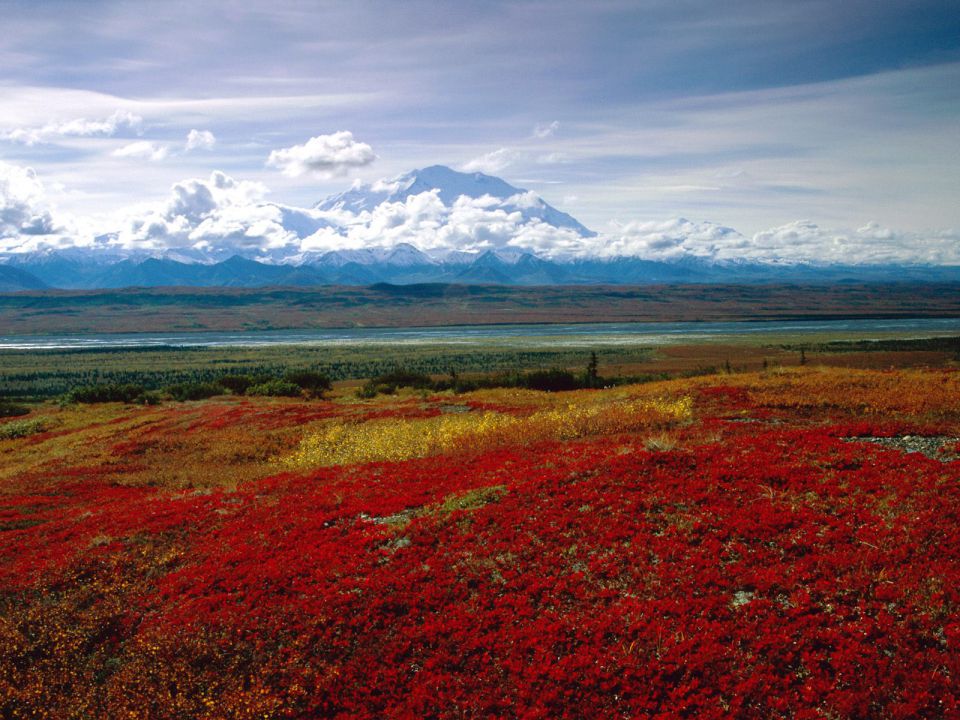 Alaska - Brilliant Colors of Denali National Park