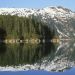 Alaska - Coastal Sitka Spruce Forest, Southeast