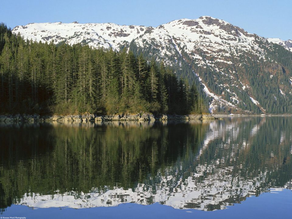 Alaska - Coastal Sitka Spruce Forest, Southeast