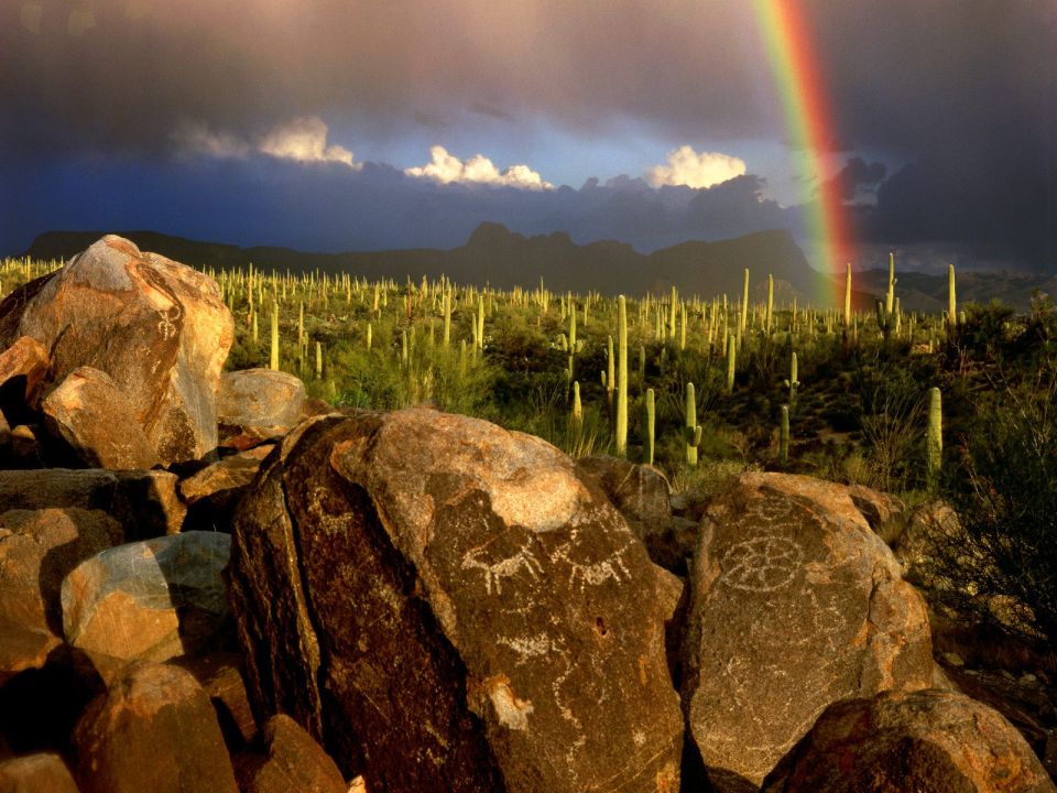 Arizona - Hohokam Petroglyphs, Saguaro National Park