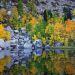 California - Autumn Color, Eastern Sierra