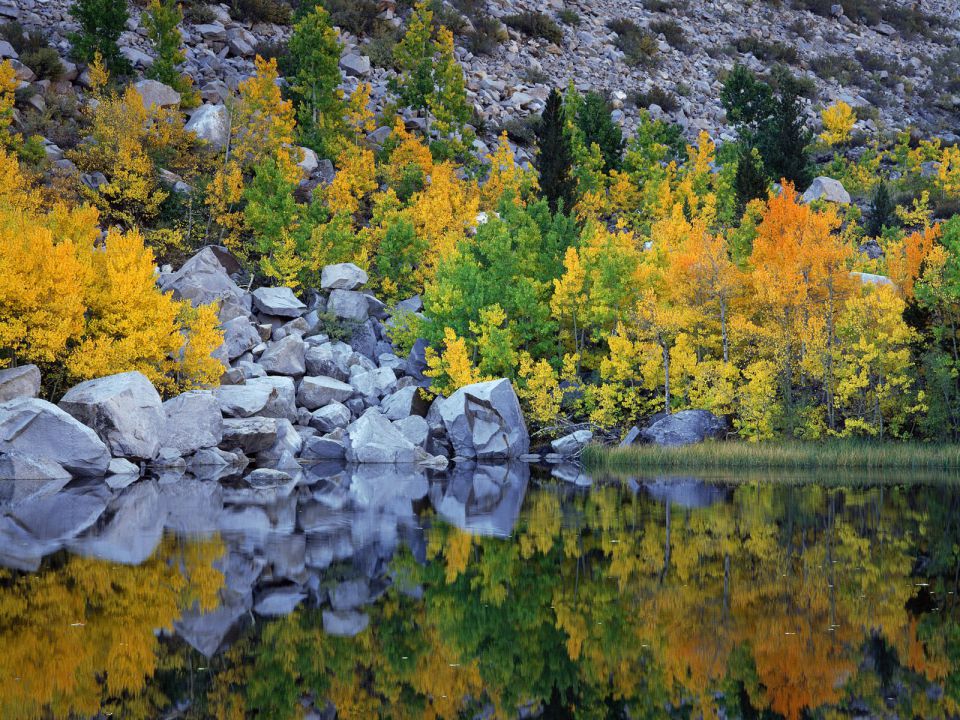 California - Autumn Color, Eastern Sierra