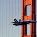California - Blue Angel and the Golden Gate, San Francisco