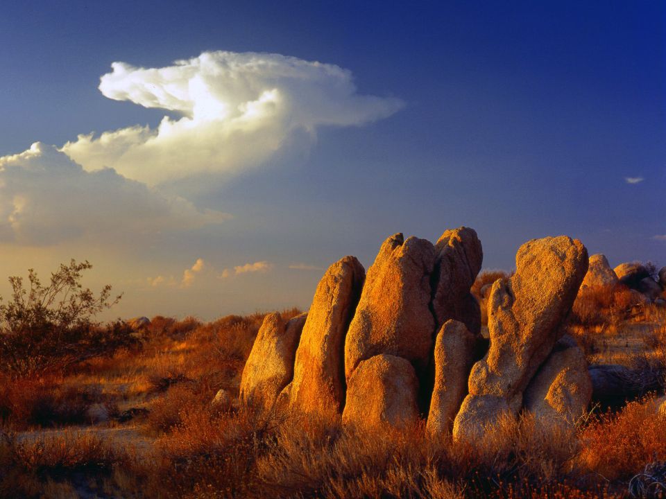 California - Distant Thunder, Mojave Desert