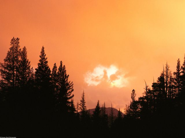 California - Divine Cloud at Sunset