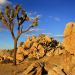 California - Joshua Tree, Mojave Desert, Littlerock