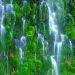 California - Mossbrae Falls