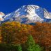 California - Mount Shasta