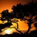 California - Patrick's Point State Park at Sunset, Near Eureka