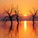 California - Salton Sea State Recreation Area