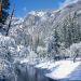 California - Snow Flocks Yosemite National Park