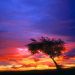 California - Sunrise, Palmdale