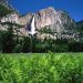 California - Yosemite Falls