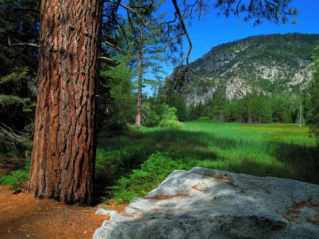 California - Zumwalt Meadow Trail, Sequoia and Kings Canyon National Parks