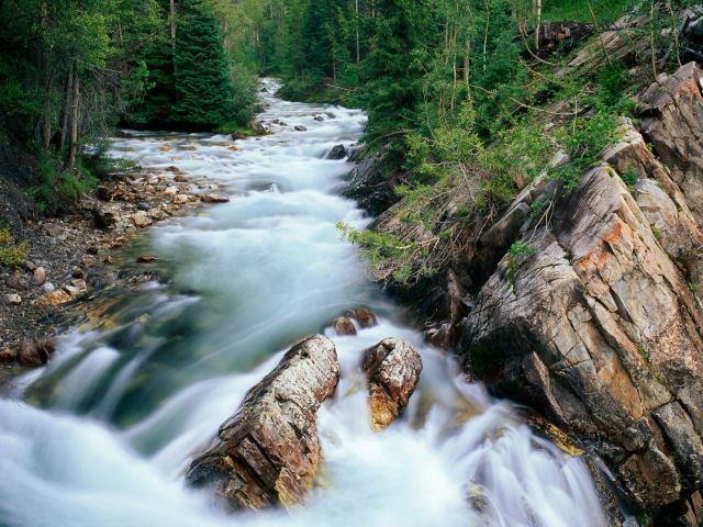 Colorado - Crystal River, Gunnison National Forest