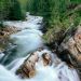 Colorado - Crystal River, Gunnison National Forest