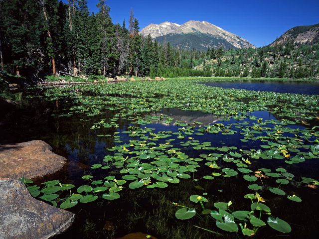 Colorado - Cub Lake, Stones Mountain, Rocky Mountain National Park