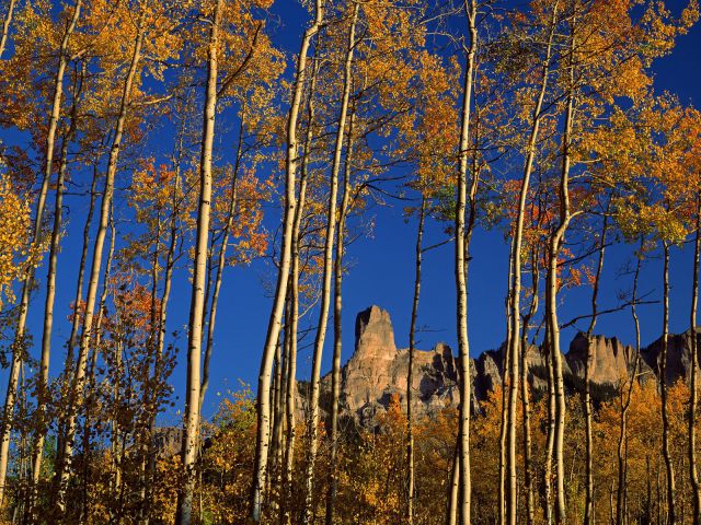 Colorado - Chimney Rock and Courthouse Mountain in Fall, Uncompahgre National Forest