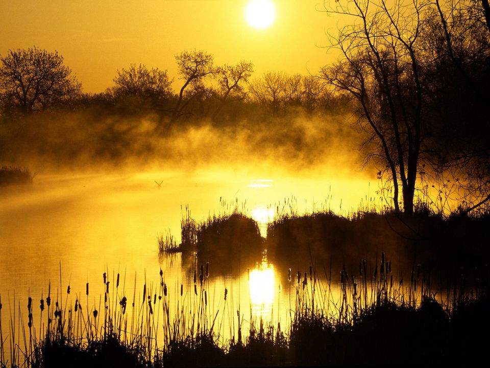 Colorado - Golden Sunrise