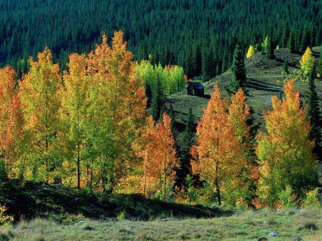 Colorado - Mining Cabin Near Molas Pass, San Juan Mountains